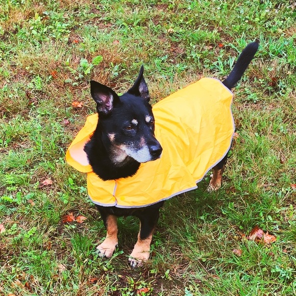 Other - Welcome, Mika!!